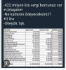 vergi affına uğrayan firmalar / #2319713