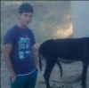kürdün eşekle imtihanı / #1292430