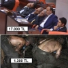 uyuyan milletvekili vs maden işçisi / #1040607