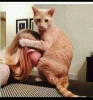 evinde kedi besleyen kadın