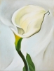 georgia o keeffe