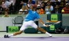 novak djokovic / #1017444