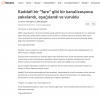 vahşice tecavüze uğrayan islamcı lidere fare demek