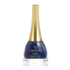 golden rose paris magic color oje