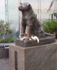 hachiko a dog s story / #1632628