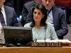 nikki haley