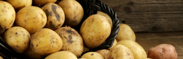çölde ve uzayda patates yetiştiren dünya ülkeleri