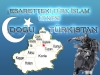doğu türkistan