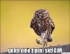 hetero onuru var mıdır / #1133596