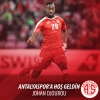 johan djourou