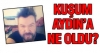 kuşların ekseriyetle çok sevimli olmaları / #1016028