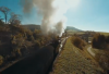 tren / #2426075