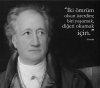 goethe / #1051640