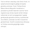 alman gazetesi die welt den erdoğan a mektup / #1354773