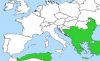 avusturya osmanlı savaşları / #2149305