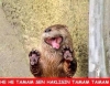 yalnızlığın kader değil tercih olması / #1187803