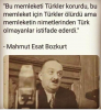 mahmut esat bozkurt / #2429237