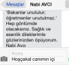 nabi avcı