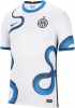 fc internazionale milano