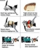 kedi ve tereyağlı ekmek teorisi / #2016371
