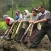 karadeniz erkeklerinin tembel olması / #1027270