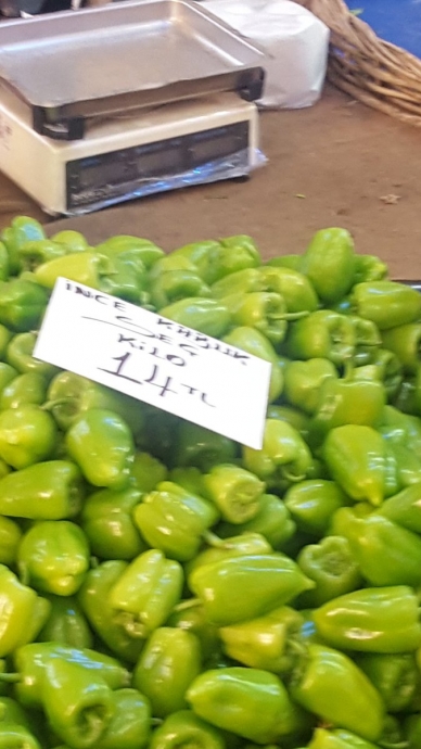 pazardayız uludağ sözlük