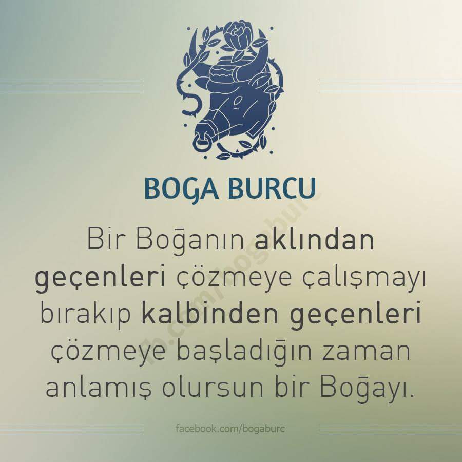 Boğa Burcu Boğa Burcu