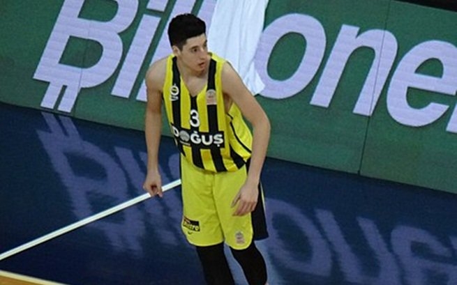 efe ergi tırpancı