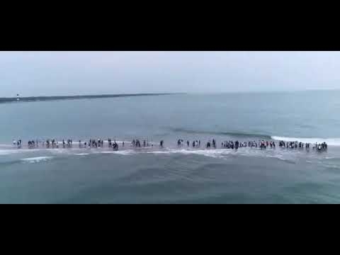 hindistan ve sri lanka arasındaki antik köprü
