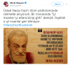 merak akşener in necip fazıl tweeti / #1684160