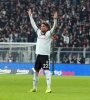 adem ljajic