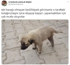 ortamlarda prim yaptıran havalı bilgiler / #2051411