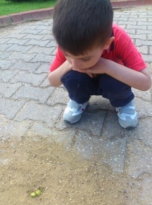 anın görüntüsü