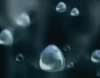 su / #2426007