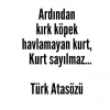 türkçülerle dalga geçen çöp topluluklar