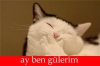 yüzde 80 i kız olan bölümde okumak / #1283532