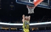 jan vesely