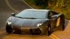 lamborghini sahibi olamadan ölüp gitmek / #2326086
