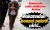 makatından bonzai çıkan adam