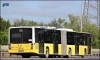 bredamenarinibus avancity resim 2