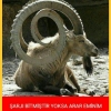kız arkadaşın sosyal medyayı aktif kullanması / #1238937