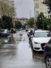 köpeklerin arabaların üstüne çıkması / #2301322