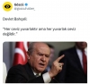 ceviz yuvarlaktır ama her yuvarlak ceviz değildir / #2345037