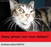 gecelerin karanlık olmasının nedeni / #1360531