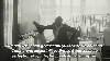 mustafa kemal atatürk / #1402056