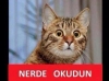 sesli osuran adamdan zarar gelmez / #1181875