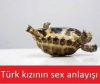türk kızının seks anlayışı