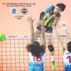 fenerbahçe kadın voleybol takımı