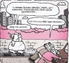 şenol güneş in fenerbahçe teknik direktörü olması / #1989433