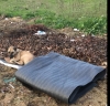 sokak köpeklerine karşı en iyi çözüm yolu / #1788625